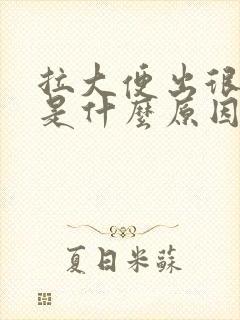 拉大便出很多血是什么原因