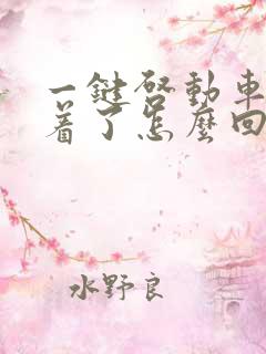 一键启动车打不着了怎么回事