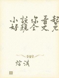 小说你看起来很好亲全文免费阅读