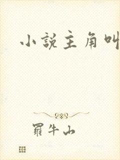 小说主角叫苏阳