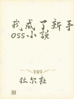 我成了新手村boss小说
