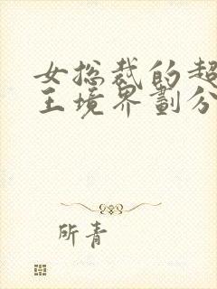 女总裁的超级兵王境界划分