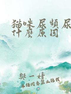 猫咪尿频尿少是什么原因