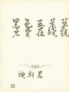 黑色五叶草漫画免费在线观看