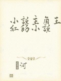 小说主角王平全红的小说