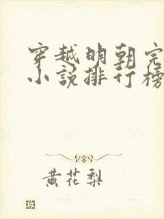 穿越明朝完本的小说排行榜