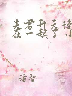 夫君升天后我俩在一起了 小说