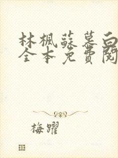 林枫苏慕白小说全本免费阅读