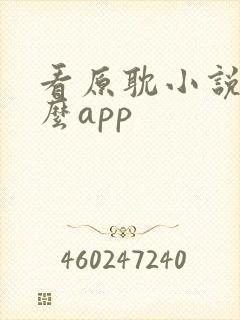 看原耽小说用什么app