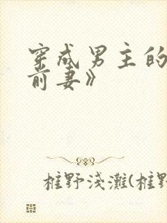 穿成男主的炮灰前妻》