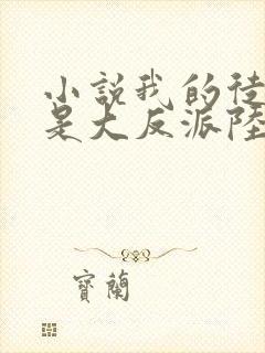 小说我的徒弟都是大反派陆州完结