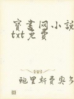 宝书网小说下载txt免费