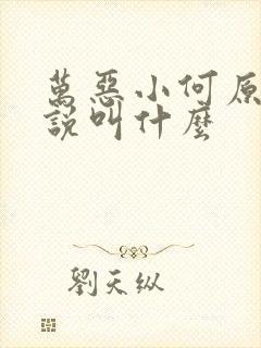 万恶小何原著小说叫什么