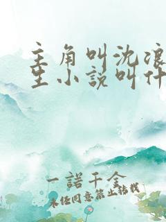 主角叫沈浪的重生小说叫什么名字