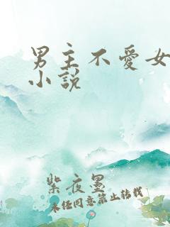 男主不爱女主的小说