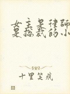 女主是律师男主是总裁的小说