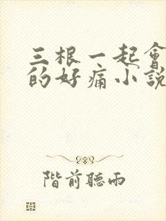 三根一起会坏掉的好痛小说