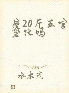 瘦20斤五官会变化吗