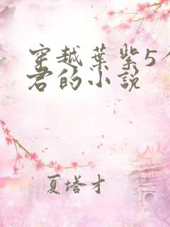 穿越叶紫5个夫君的小说