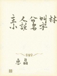 主人公叫林峰的小说名字