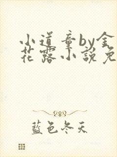 小道童by金银花露小说免费阅读笔趣阁