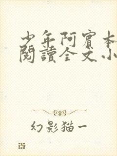 少年阿宾本全文阅读全文小说