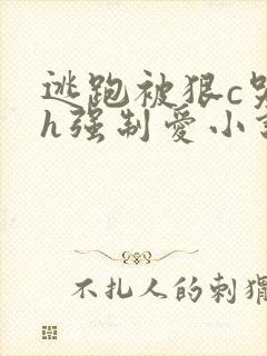逃跑被狠c哭高h强制爱小说