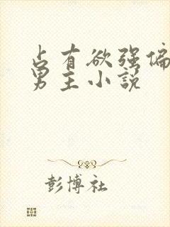 占有欲强偏执双男主小说