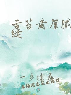 舌苔黄厚腻有裂缝