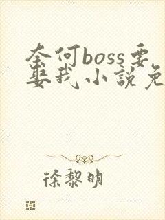 奈何boss要娶我小说免费