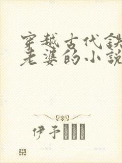 穿越古代铁匠选老婆的小说