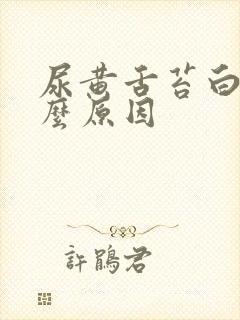 尿黄舌苔白是什么原因