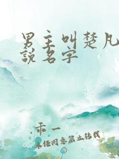 男主叫楚凡的小说名字