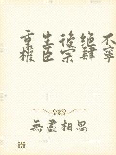 重生后绝不嫁给权臣宗肆宁芙全文