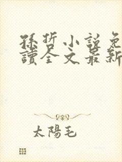 孙哲小说免费阅读全文最新章节