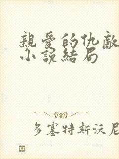 亲爱的仇敌原著小说结局