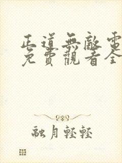 正道无敌电视剧免费观看全集完整版