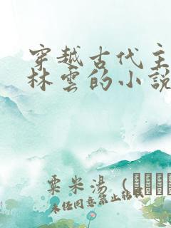 穿越古代主角叫林云的小说