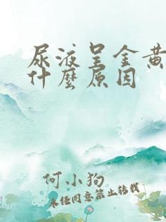 尿液呈金黄色是什么原因