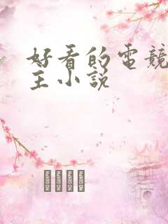 好看的电竞双男主小说