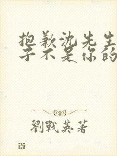 抱歉沈先生,孩子不是你的短剧大结局