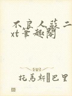 不良人苏二两txt笔趣阁