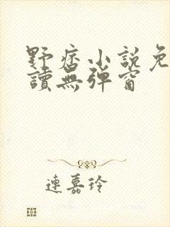 野痞小说免费阅读无弹窗