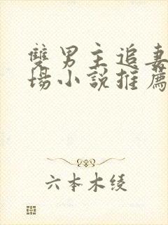 双男主追妻火葬场小说推荐