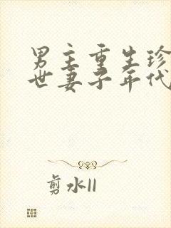 男主重生珍惜前世妻子年代文