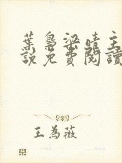 叶枭梁晴主角小说免费阅读