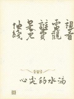 他是谁电视剧在线免费观看完整版