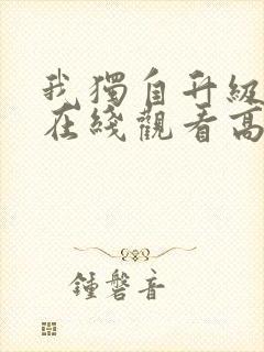 我独自升级动漫在线观看高清