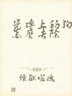 瓷砖上的狗尿渍怎么去除