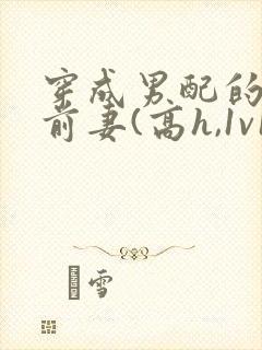 穿成男配的炮灰前妻(高h,1v1
